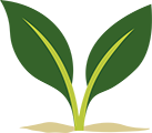Fuse logo